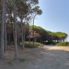 Domenica 24 maggio la pulizia della pineta e della spiaggia di San Giorgio