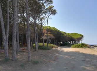 Domenica 24 maggio la pulizia della pineta e della spiaggia di San Giorgio