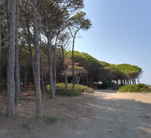 Home