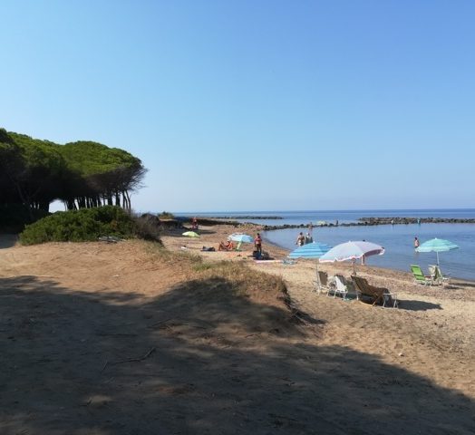 Home