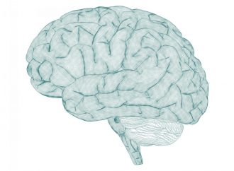 CERVELLO VS STUPIDITA’