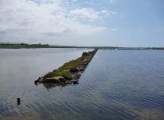 Il Sindaco Sposetti a Roma per discutere del futuro delle Saline