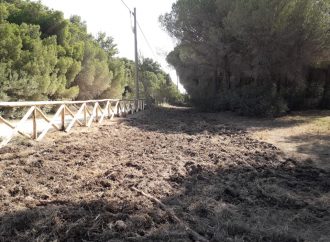 GLI INCENDI SI COMBATTONO COSì