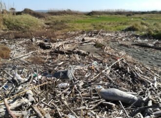 Domenica Fare Verde pulisce la spiaggia a Spinicci