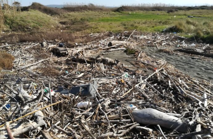 Domenica Fare Verde pulisce la spiaggia a Spinicci