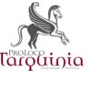 Aperta la campagna tesseramento della Pro Loco, un’associazione che si impegna veramente per Tarquinia