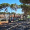 Al Lido gli alberi crollano, Fratelli d’Italia interroga il Sindaco sulla gestione e manutenzione