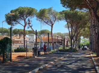 Al Lido gli alberi crollano, Fratelli d’Italia interroga il Sindaco sulla gestione e manutenzione