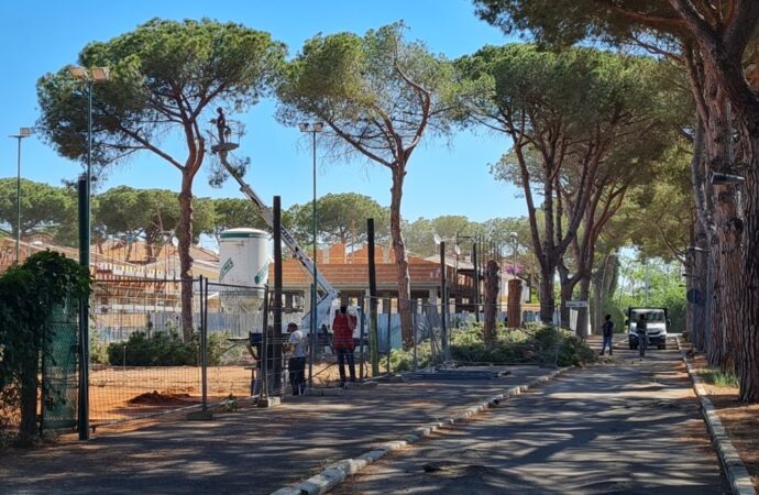 Al Lido gli alberi crollano, Fratelli d’Italia interroga il Sindaco sulla gestione e manutenzione