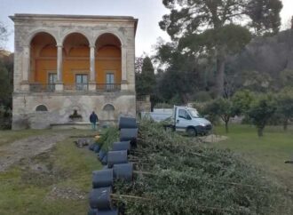 “Ossigeno” per Villa Bruschi Falgari, arrivano tante piante da mettere a dimora