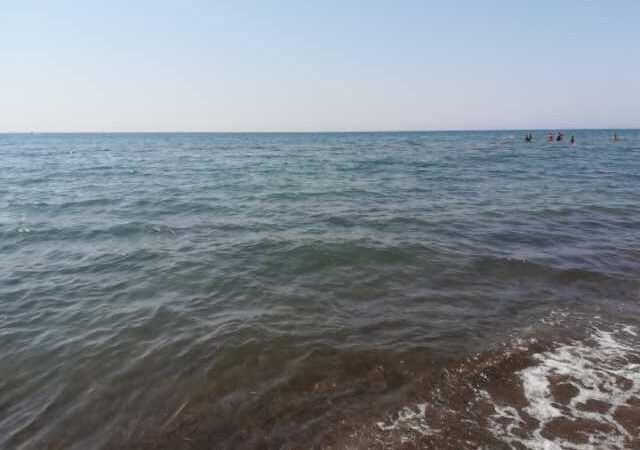 Premiata la bonifica biologica dei canali che sfociano al mare, soddisfatto l’assessore Andreani