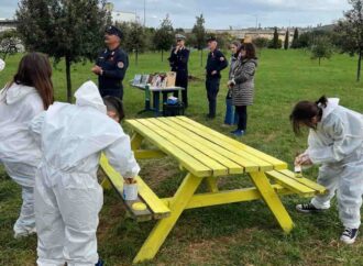 Gli studenti del “Sacconi” si prendono cura del bosco urbano