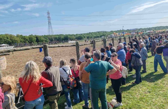 Successo per la Festa della Merca organizzata dall’Università Agraria