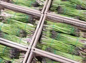 Dal Governo Meloni cento milioni a sostegno dell’agricoltura italiana