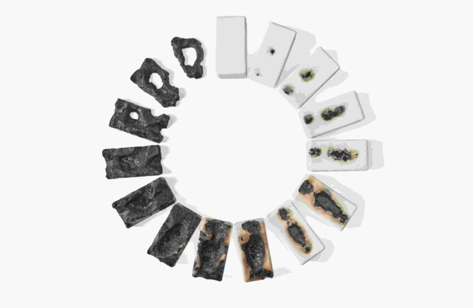 “Life, a circle”, dal 19 al 23 agosto la mostra di Rossana Maggi all’auditorium San Pancrazio