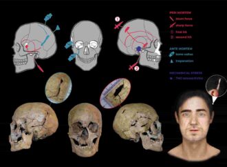 Di chi sono i 20 scheletri rinvenuti a Tarquinia? Sabato una conferenza per svelare il mistero